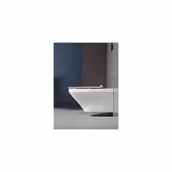 Duravit DuraStyle 0063790000Â Toilet Seat with Soft Close Hinges Stainless Steel White