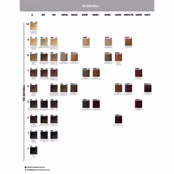 Goldwell Topchic The Naturals, Brown, 6NA, Dark Natural Ash Blonde, Unisex, 60 ml, All hair