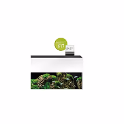 Juwel Aquarium Digital Thermometer 3.0, Black, Transparent