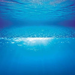Juwel Aquarium Double Sided Poster Background - L, Underwater Shallows/Underwater Sun