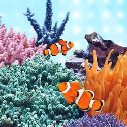 Juwel Aquarium 86864 LED Marine 14000 K, 438 mm â Tube, Multi-Coloured