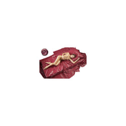 Orion Lack-Laken Rot, deep red