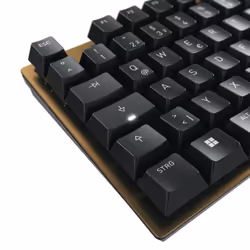 CHERRY KC 200 MX keyboard Universal USB QWERTZ German Black, Bronze - Additional view 5
