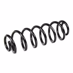 BILSTEIN - B3 OE Replacement 36-259335 Coil spring Rear Axle SKODA: Superb II Estate, Superb II Hatchback, VOLKSWAGEN: Eos, Touran I