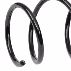 BILSTEIN - B3 OE Replacement 36-269013 Coil spring Front Axle BMW: 3 Coupe, 3 Touring, 3 Convertible
