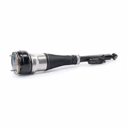 BILSTEIN - B4 OE Replacement (Air) 44-239992 Air Spring Strut Rear Axle Right MERCEDES-BENZ: S-Class Saloon