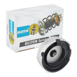 BILSTEIN 12-304387 Top strut mount Front Axle BMW: X5, X6