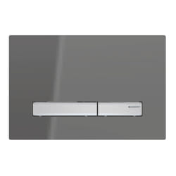 Geberit 115.788.SD.2 flush toilet replacement part Flush plate Chrome