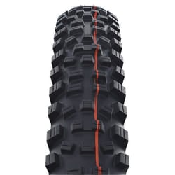 Schwalbe Hans Dampf HS 491 29" MTB Tubeless Ready tyre