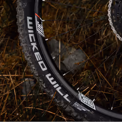 Schwalbe Wicked Will Super Ground Addix Speedgrip TLE Folding Tyre  Br - Additional view 4