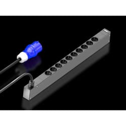 Rittal 7979.111 power distribution unit (PDU) 10 AC outlet(s) 0U Black