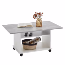 VidaXL 428689, White