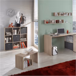 VidaXL 429433 living room bookcase