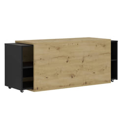 VidaXL 444227 TV cabinet/entertainment centre