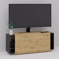 VidaXL 444227 TV cabinet/entertainment centre