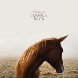 ImportCDs Bounce Back, Americana, CD, Physical media, Adult, 1 discs, 20/04/2017