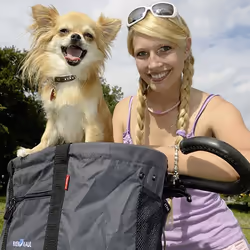 KLICKfix Doggy Shopper Front Bicycle bag 24 L Grey - Additional view 5