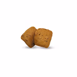 Green Petfood InsectDog Hypoallergen 10 kg Adult Potato