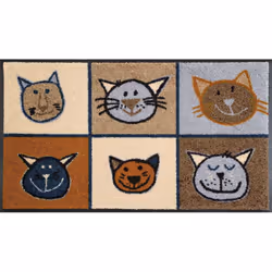 wash+dry Miau Miau, Decorative doormat, Indoor, Rectangular, Multicolour, Image, 500 mm