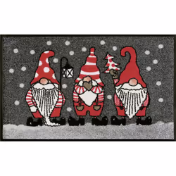 wash+dry Winterzwerge, Decorative doormat, Indoor, Rectangular, Multicolour, Image, Polyamide