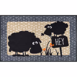 wash+dry Gertrud & Elsbeth, Decorative doormat, Indoor, Rectangular, Multicolour, Image, 500 mm