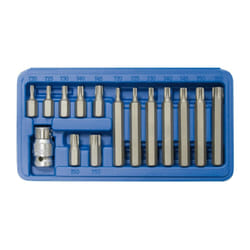 SW-Stahl 04420L Screwdriver Bits Set Hexagon 3/8 15