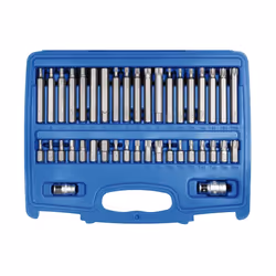 Screwdriver Bit Set; SW-Stahl; Plastic Case 40