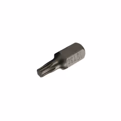 Screwdriver Bit; SW-Stahl; Chrome Vanadium Steel Torx
