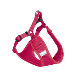 Nobby 80626-01 dog/cat harness M Red Halter harness