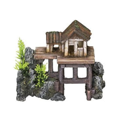 Nobby Wooden house