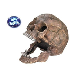 Nobby Scull