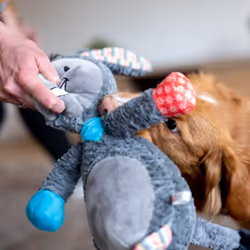 Nobby 50518 dog/cat toy