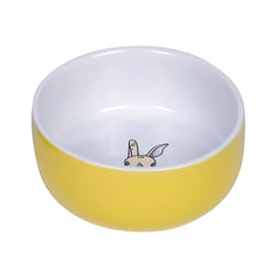 Nobby Rabbit