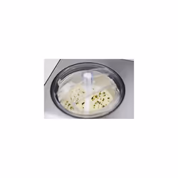 Caso 3298 Ice Creamer-2 in 1 Design Eismaschine und Joghurtmaschine mit Kompressortechnik, Produziert bis zu 2 Liter Eiscr Cream Maker, 18/8 Stai - Additional view 5