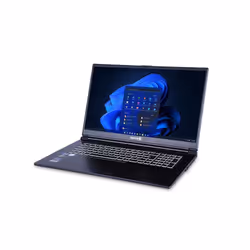 TERRA MOBILE UK1220783 laptop Intel® Core™ i7 i7-13700H 43.9 cm (17.3") Full HD 16 GB DDR4-SDRAM 1 TB SSD NVIDIA GeForce RTX 3050 Wi-Fi 6 (802.11ax) Windows 11 Pro Black, Grey - Additional view 4
