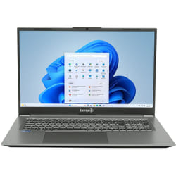 TERRA UK1220821 laptop Intel® Core™ i5 i5-1334U 43.9 cm (17.3") Full HD 16 GB DDR4-SDRAM 1 TB Windows 11 Home Grey