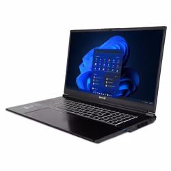 TERRA MOBILE GAMER ELITE 5v4 Intel Core Ultra 9 275HX Laptop 43.9 cm (17.3") Quad HD 32 GB DDR5-SDRAM 2 TB SSD NVIDIA GeForce RTX 5070 Wi-Fi 7 (802.11be) Windows 11 Pro UK English Silver - Additional view 5