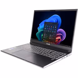 TERRA UK1220876 laptop AMD Ryzen™ AI 7 350 40.6 cm (16") WQXGA 32 GB DDR5-SDRAM 1 TB Wi-Fi 6E (802.11ax) Windows 11 Pro Silver - Additional view 5