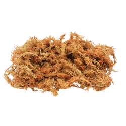 Lucky Reptile SM-100 Moss 100 g