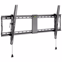 Wentronic Pro TILT (XL) 2.54 m (100") Black