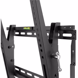 Wentronic Pro TILT (XL) 2.54 m (100") Black - Additional view 8