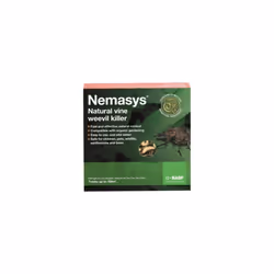 Nemasys Vine Weevil Killer - 100 sqm