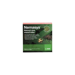 Nemasys Vine Weevil Killer - 100 sqm