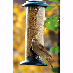 Dobar 11516 bird feeder Green, Transparent Metal, Plastic Hanging