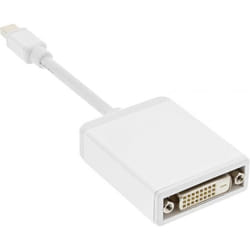 InLine 4043718174447 cable gender changer DVI-D Mini DisplayPort White