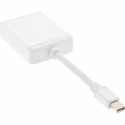 InLine 4043718174447 cable gender changer DVI-D Mini DisplayPort White