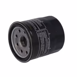 Oil filter; CHAMPION; Filter Insert
