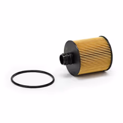 CHAMPION COF100680E Oil filter with gaskets/seals Filter Insert FIAT: Tipo Estate, Ducato III Van, Ducato III Platform / Chassis