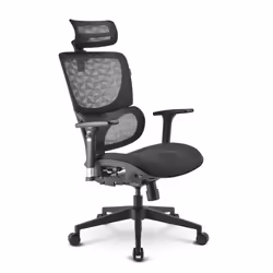 Sharkoon OfficePal C30 Nest seat Mesh backrest