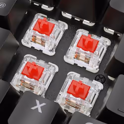 Sharkoon SKILLER SGK36W keyboard Gaming RF Wireless QWERTZ
